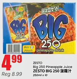 Btrust Supermarket ZESTO Big 250 Pineapple Juice offer