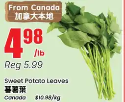 Btrust Supermarket Sweet Potato Leaves offer