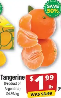 Iqbal Foods Tangerine offer