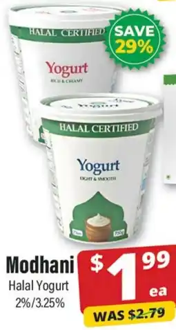 Iqbal Foods Modhani Halal Yogurt offer