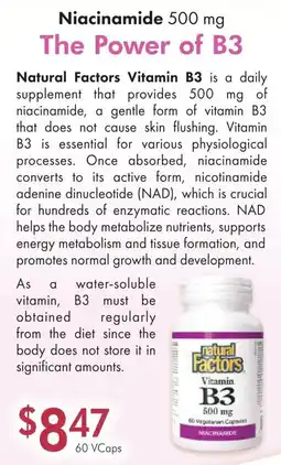 Lifestyle Markets Niacinamide 500 mg The Power of B3 offer