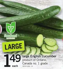 Loblaws Large english cucumber offer