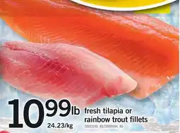 Loblaws Fresh tilapia or rainbow trout fillets offer
