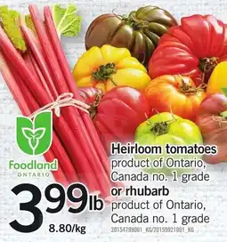 Loblaws Heirloom tomatoes or rhubarb offer