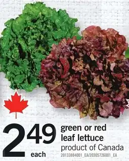 Loblaws Green or red leaf lettuce offer