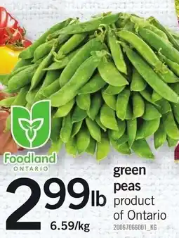 Loblaws Green peas offer