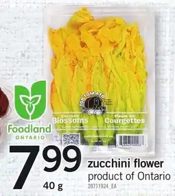 Loblaws Zucchini flower offer