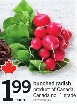Loblaws Bunched radish offer
