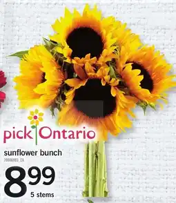 Loblaws Sunflower bunch offer