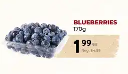 Marche Leo's BLUEBERRIES offer