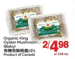 T&T Supermarket ORGANIC KING OYSTER MUSHROOM (BABY) offer
