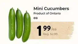 Marche Leo's Mini Cucumbers offer