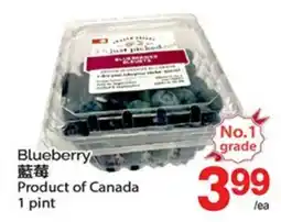 T&T Supermarket BLUEBERRY, 1 pint offer