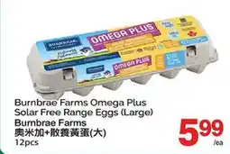 T&T Supermarket BURNBRAE FARMS OMEGA PLUS SOLAR FREE RANGE EGGS (LARGE), 12PCS offer