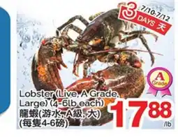T&T Supermarket LOBSTER offer