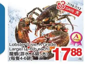 T&T Supermarket LOBSTER offer