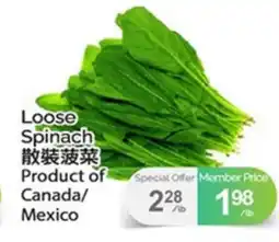 T&T Supermarket LOOSE SPINACH offer