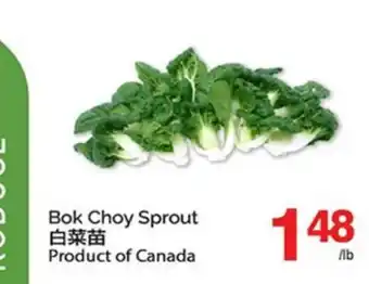T&T Supermarket BOK CHOY SPROUT offer