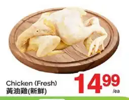 T&T Supermarket CHICKEN (FRESH) offer