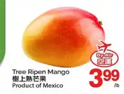 T&T Supermarket TREE RIPEN MANGO offer
