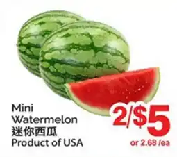 T&T Supermarket MINI WATERMELON offer