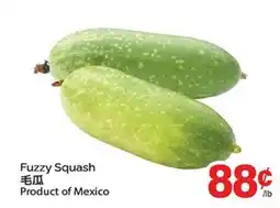 T&T Supermarket FUZZY SQUASH offer