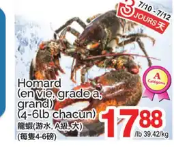 T&T Supermarket Homard (en vie, grade a, grand) (4-6lb chacun) offer