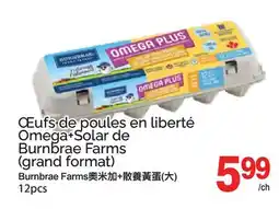 T&T Supermarket CEufs de poules en liberté Omega+Solar de Burnbrae Farms (grand format) offer
