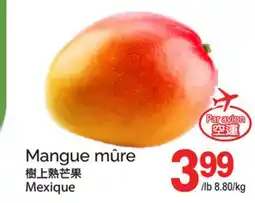 T&T Supermarket Mangue mûre offer
