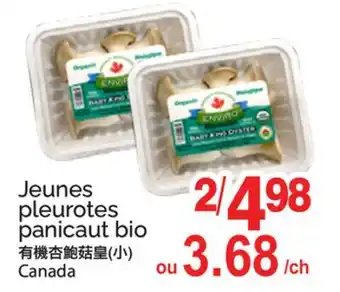 T&T Supermarket Jeunes pleurotes panicaut bio offer