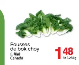 T&T Supermarket Pousses de bok choy offer