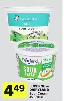 IGA Lucerne or Dairyland Sour Cream offer