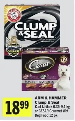 IGA Arm & Hammer Clump & Seal Cat Litter or Cesar Gourmet Wet Dog Food offer