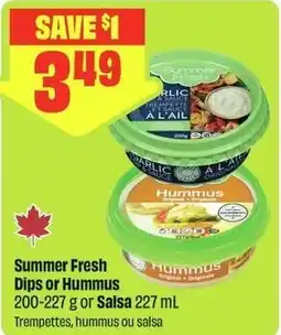 FreshCo Summer Fresh Dips or Hummus or Salsa offer