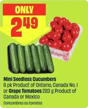 FreshCo Mini Seedless Cucumbers or Grape Tomatoes offer