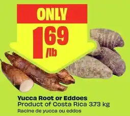 FreshCo Yucca Root or Eddoes offer