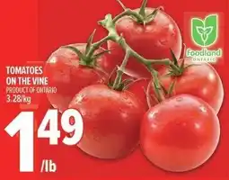 Metro Tomatoes on the vine offer