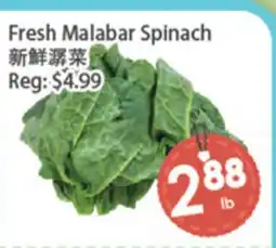 Fresh Palace Supermarket Fresh Malabar Spinach offer