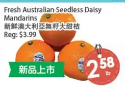 Fresh Palace Supermarket Fresh Australian Seedless Daisy Mandarins offer
