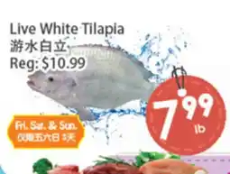 Fresh Palace Supermarket Live White Tilapia offer