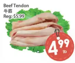 Fresh Palace Supermarket Beef Tendon offer