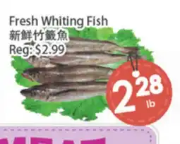 Fresh Palace Supermarket Fresh Whiting Fish offer