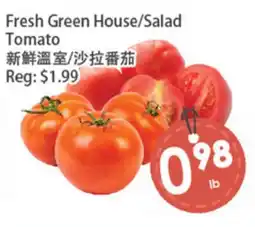 Fresh Palace Supermarket Fresh Green House/Salad Tomato offer