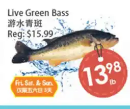 Fresh Palace Supermarket Live Green Bass offer