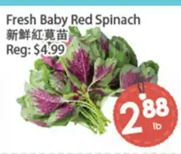 Fresh Palace Supermarket Fresh Baby Red Spinach offer