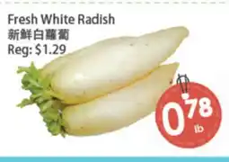 Fresh Palace Supermarket Fresh White Radish offer