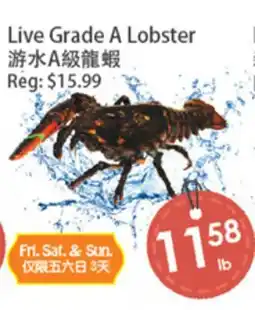 Fresh Palace Supermarket Live Grade A Lobster offer