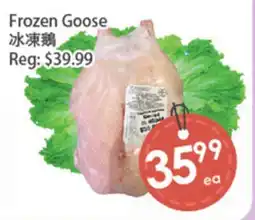 Fresh Palace Supermarket Frozen Goose offer