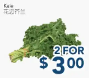 Oceans Fresh Food Market Kale offer