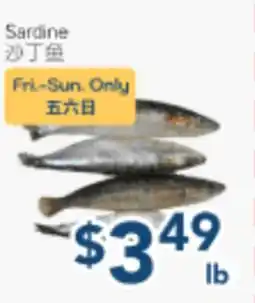 Oceans Fresh Food Market Sardine offer